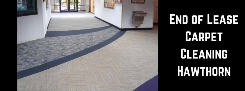 Carpet Pet-Damage Repair Hawthorn