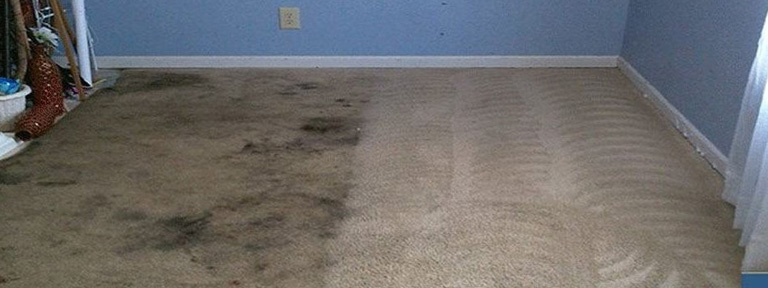 Water Damage to Carpets