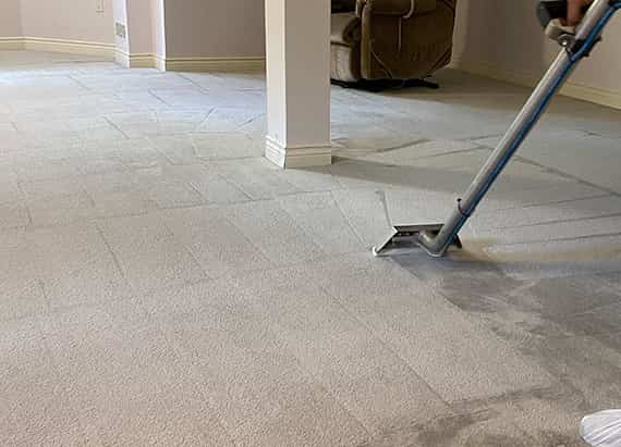 Why Is  Carpet Cleaning Important