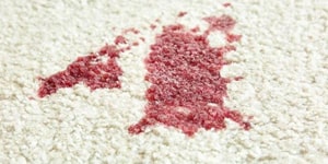 Bloodstain Removal From Carpet